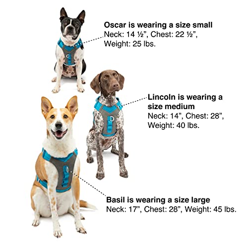 Kurgo Journey Air Harness, Dog Harness for Running and Walking