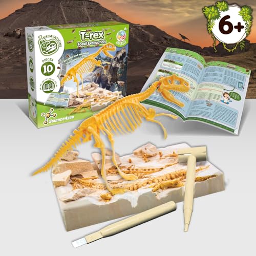 Science4you - Fossil Excavation, Educational Toy