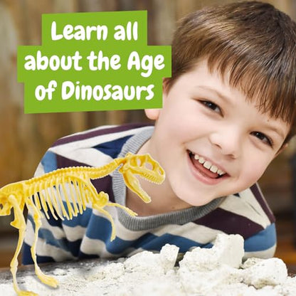 Science4you - Fossil Excavation, Educational Toy