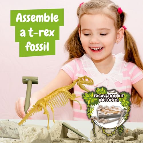 Science4you - Fossil Excavation, Educational Toy