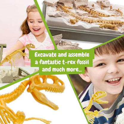 Science4you - Fossil Excavation, Educational Toy