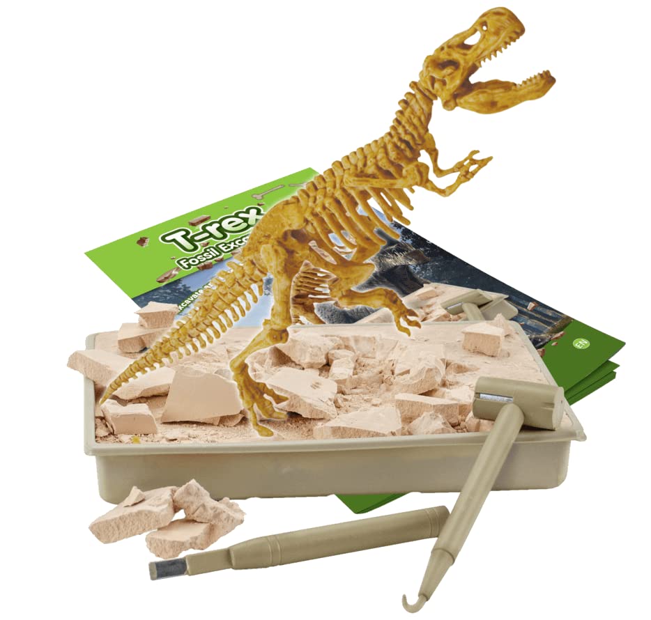 Science4you - Fossil Excavation, Educational Toy