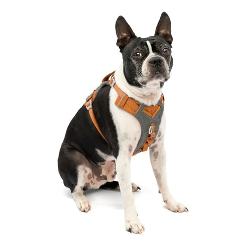 Kurgo Journey Air Harness, Dog Harness for Running and Walking - Zaja Sales Ltd