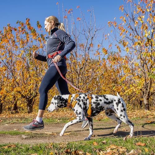 Kurgo Journey Air Harness, Dog Harness for Running and Walking - Zaja Sales Ltd