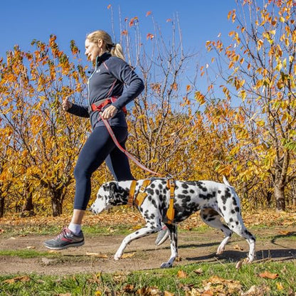 Kurgo Journey Air Harness, Dog Harness for Running and Walking - Zaja Sales Ltd